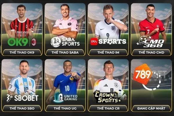 cac-loai-ca-cuoc-the-thao-politcalpages.us.com